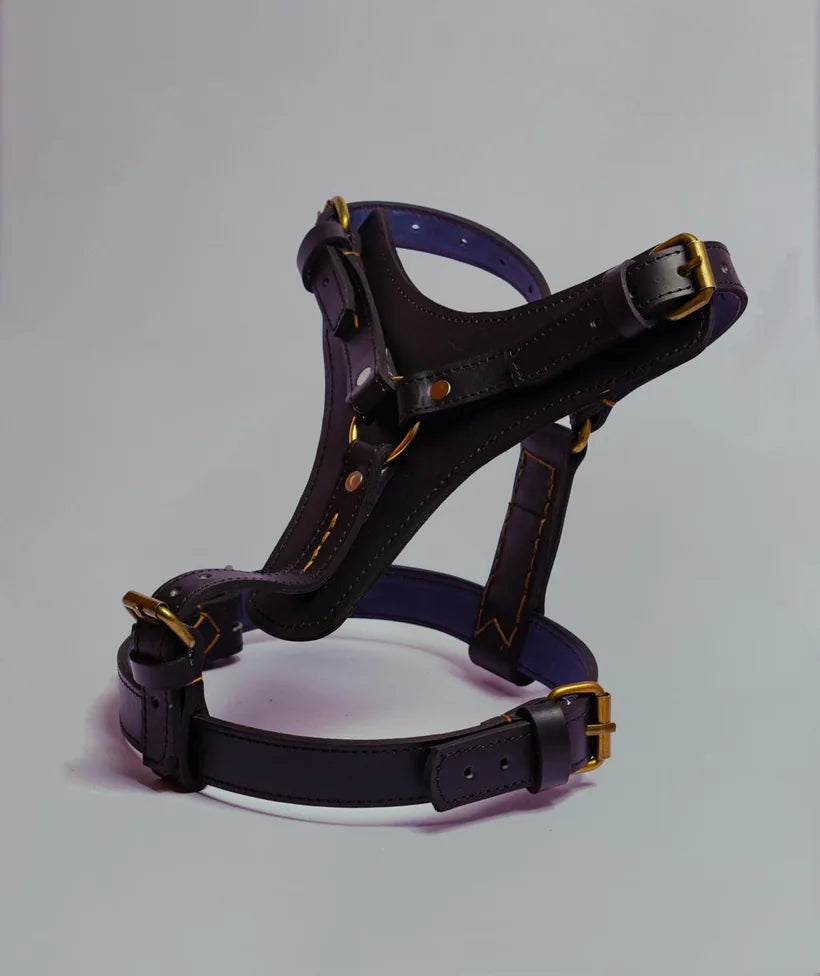 Black leather dog harness