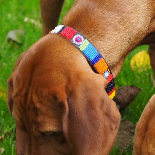 Beaded Dog Collars